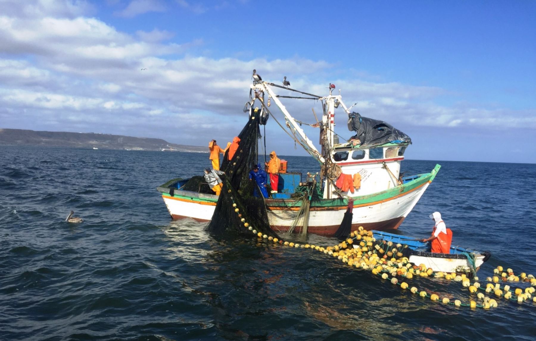 Ley 1851 de 2017 Por medio de la cual se establecen medidas en contra de  la pesca ilegal - Derecho del Medio Ambiente