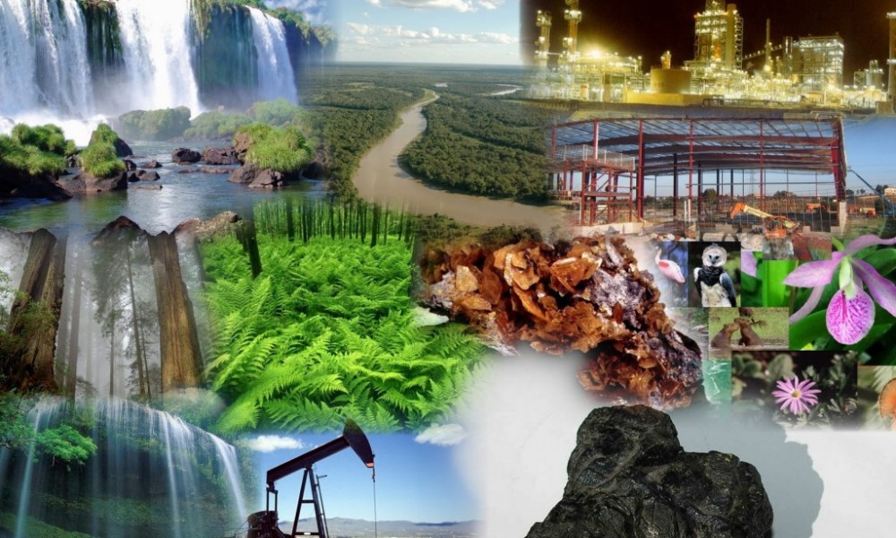 Valoración económica ambiental - Instrumento para la conservación del medio  ambiente y de los recursos naturales renovables? - Derecho del Medio  Ambiente