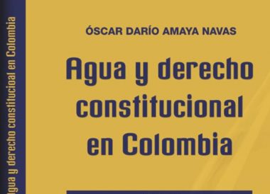 Agua y derecho constitucional en Colombia - Óscar Darío Amaya Navas