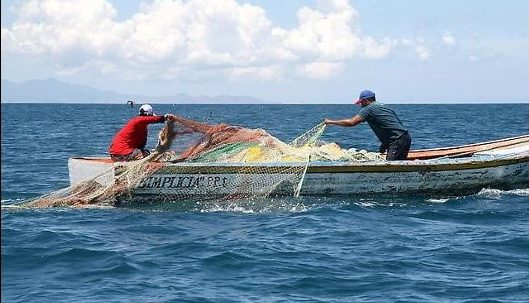 Resolución 1537 de 2018 “por la cual se asigna la cuota de pesca en los  espacios marítimos jurisdiccionales colombianos del área del Departamento  archipiélago de San Andrés, Providencia y Santa Catalina entre