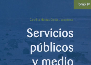 Servicios Públicos y Medio Ambiente. Tomo IV